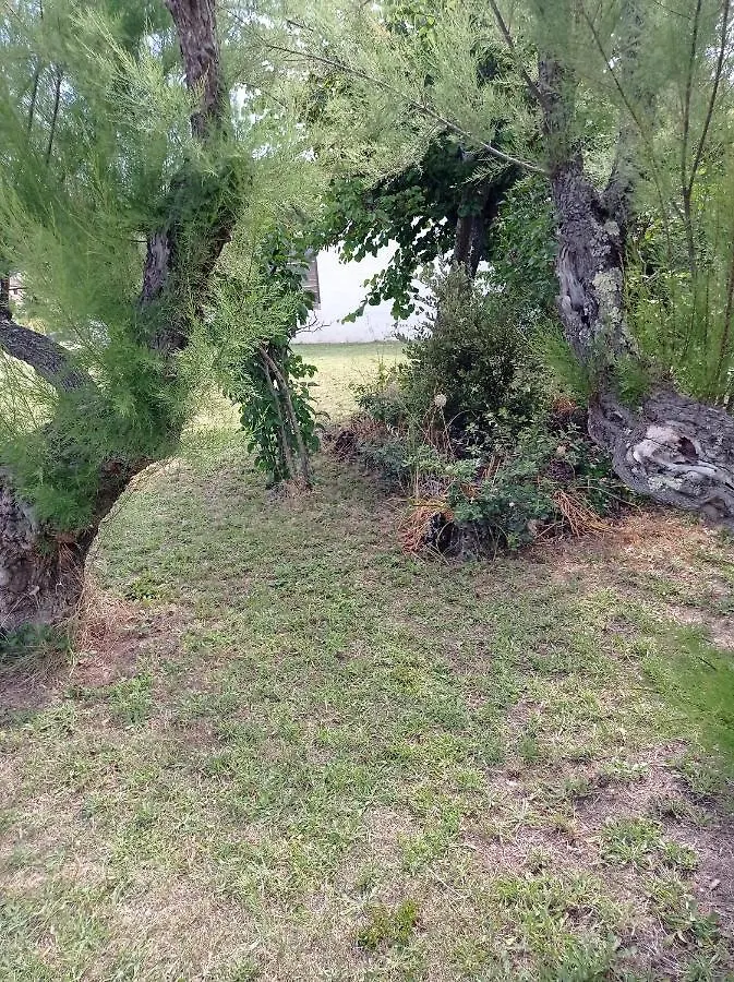 La Maison De Papou La Vigne A Nans Les Pins 83860 France