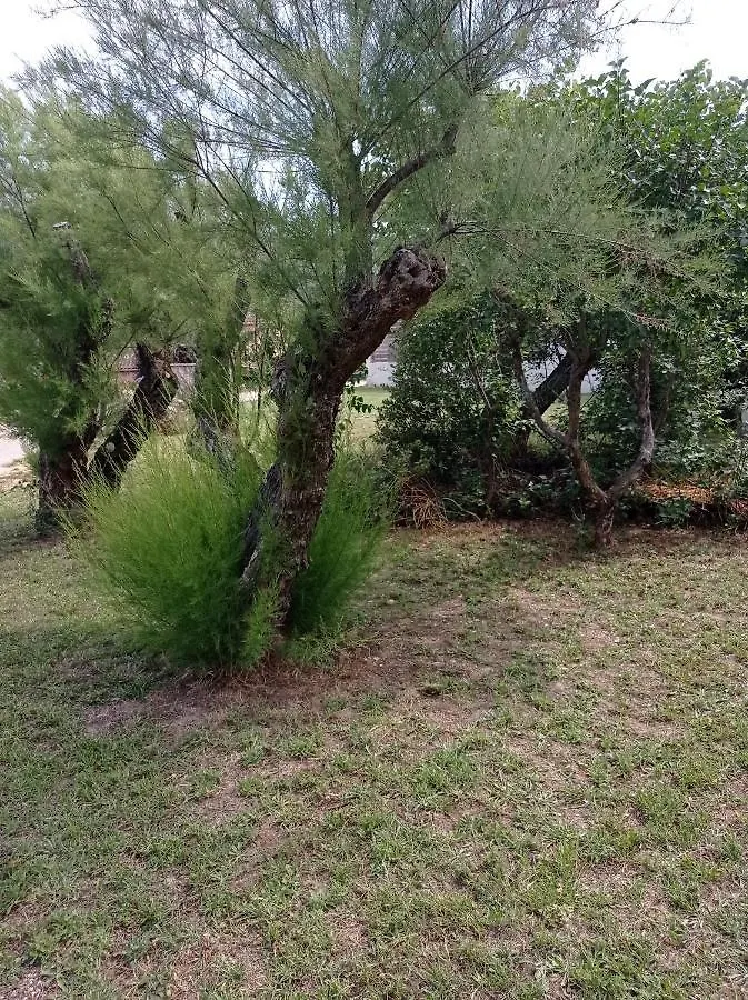 La Maison De Papou La Vigne A Nans Les Pins 83860 別荘 ナン・レ・パン